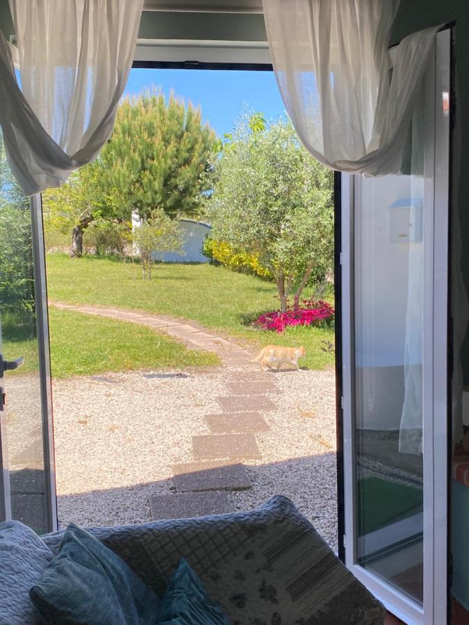 A Quinta Da Estrelinha Vendégház Quinta de Cavaleiros Kültér fotó