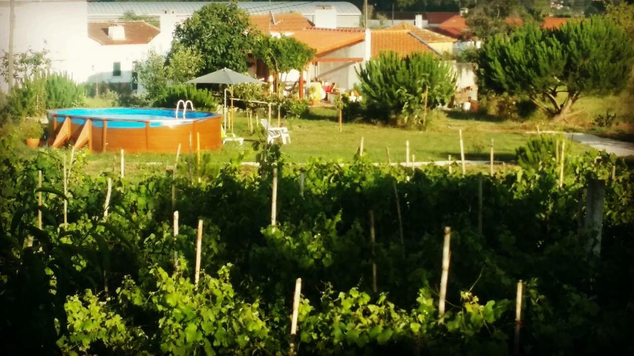 A Quinta Da Estrelinha Vendégház Quinta de Cavaleiros Kültér fotó